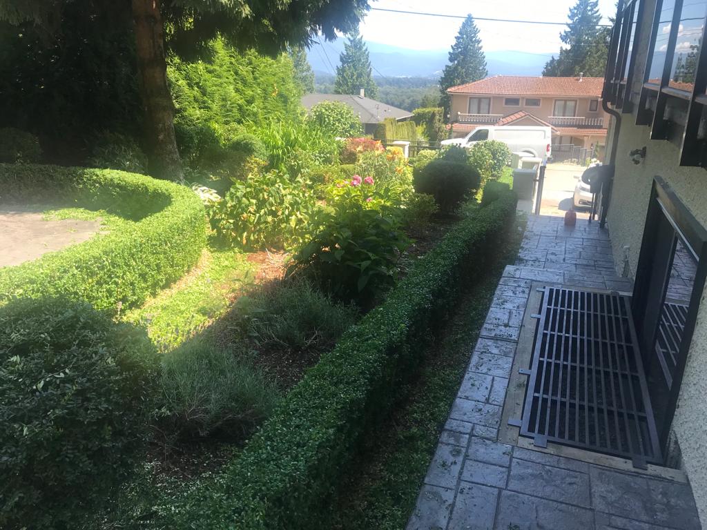 Finished garden with neatly trimmed hedges