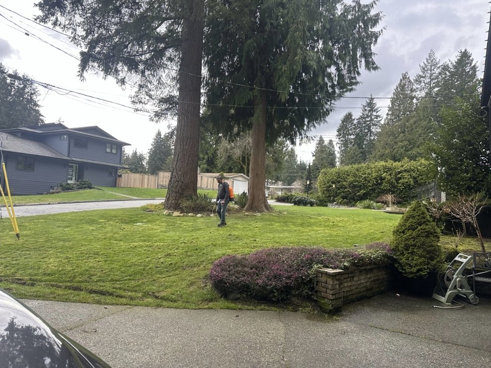 Technician applying lawn fertilizer treatment