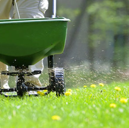 Fertilizing Services