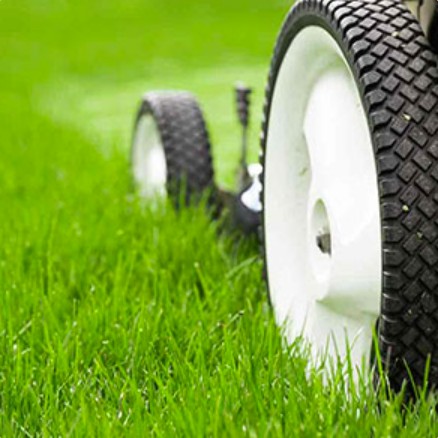 Residential Lawn Maintenance Services