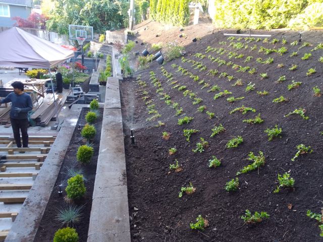 PLC Landscaping project photo