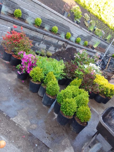 PLC Landscaping project photo