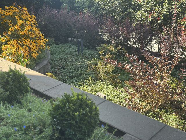 PLC Landscaping project photo