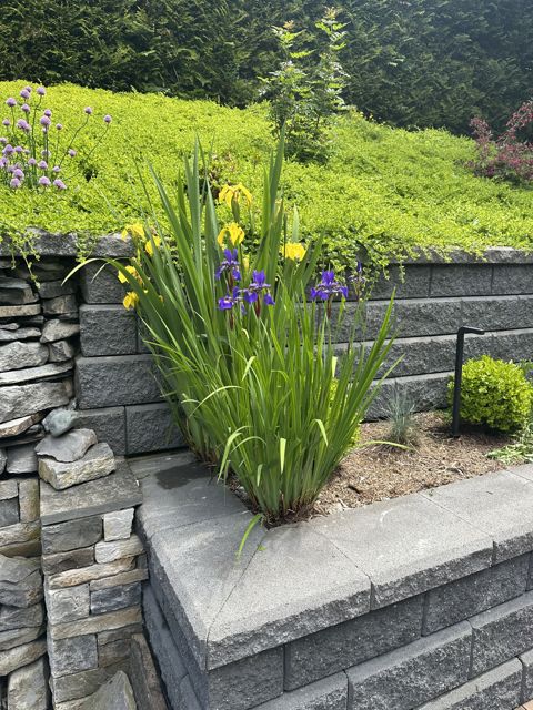 PLC Landscaping project photo