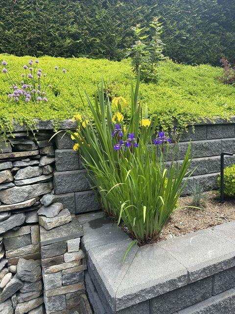 PLC Landscaping project photo