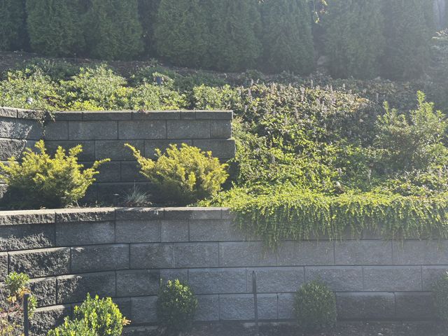 PLC Landscaping project photo
