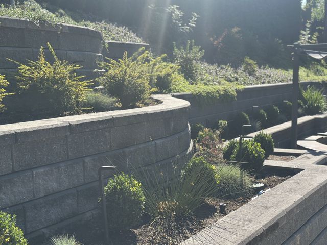 PLC Landscaping project photo