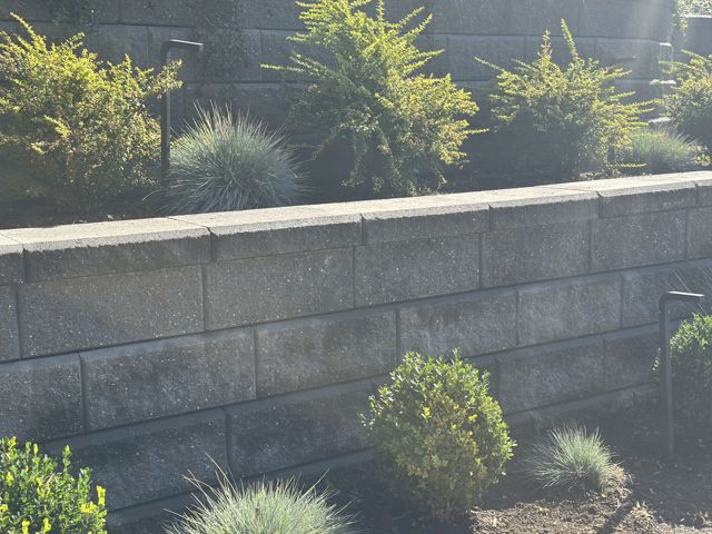 PLC Landscaping project photo