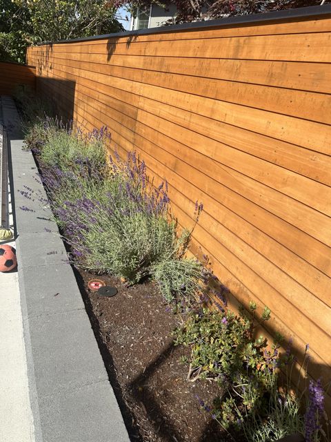 PLC Landscaping project photo